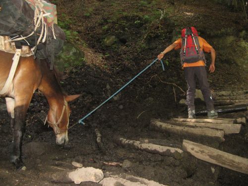 trekking con i muli-184.jpg